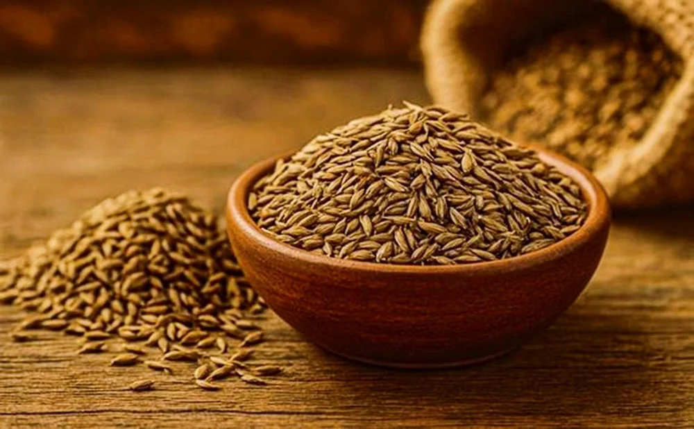 Gujarat Quality Cumin Seed Jeera, 25 Kg